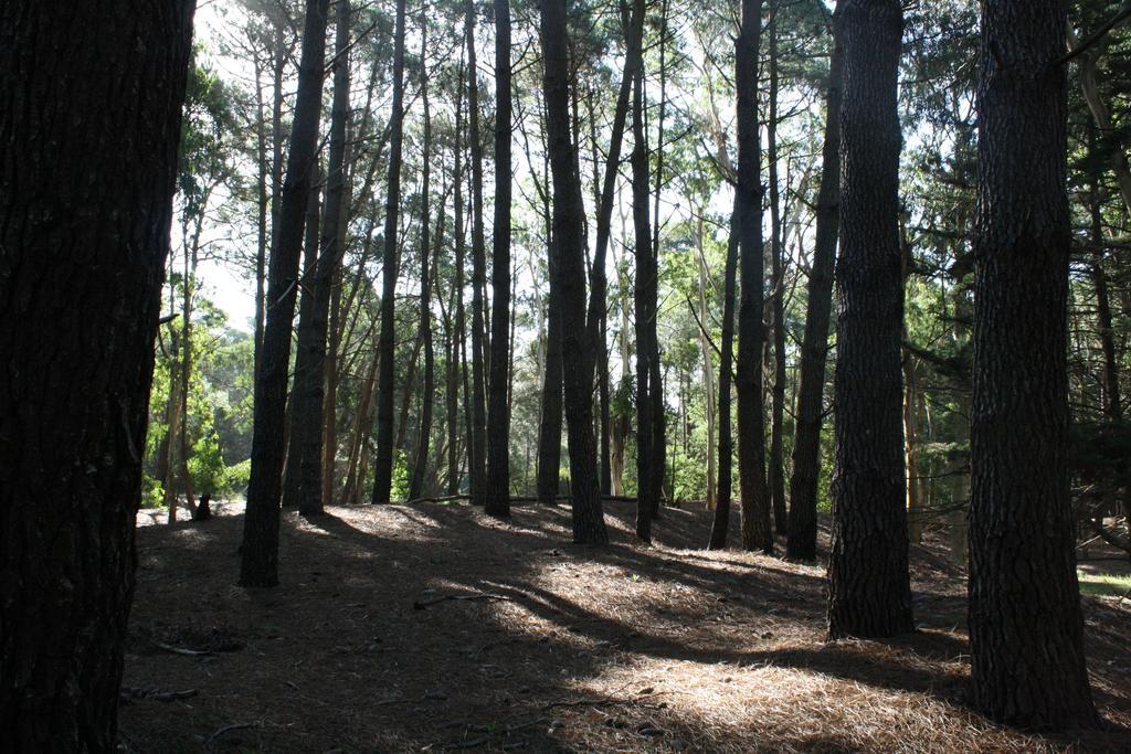 Cabanas Hurra Pampa Mar de Las Pampas Δωμάτιο φωτογραφία
