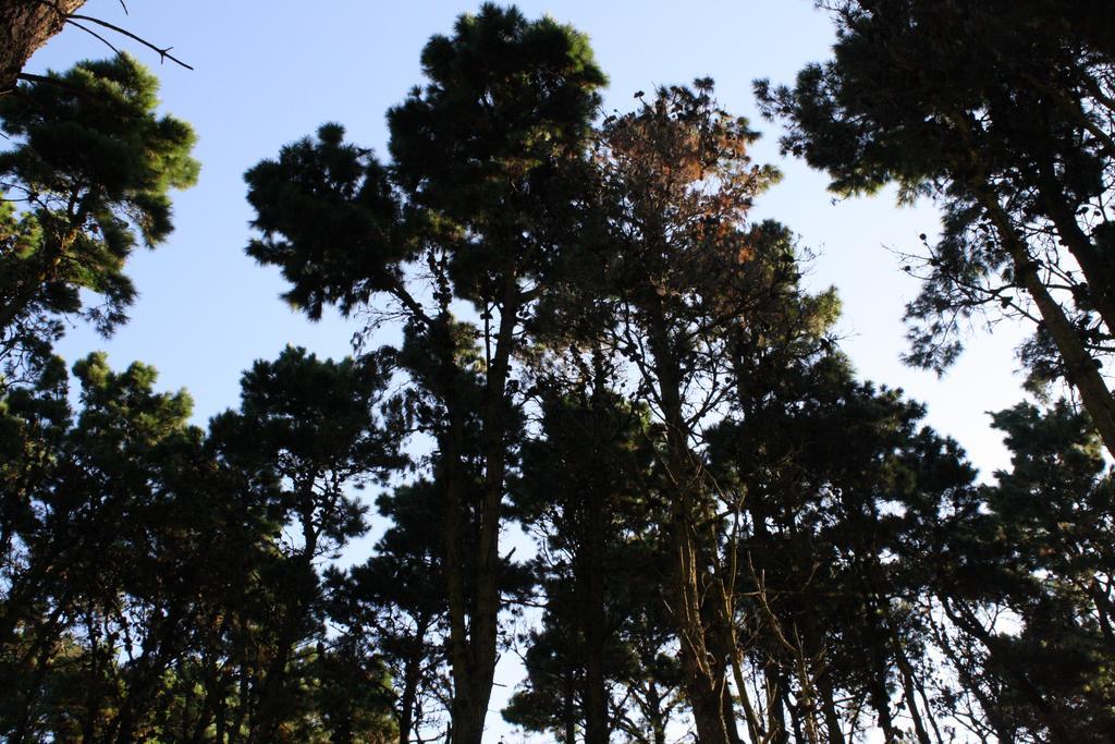 Cabanas Hurra Pampa Mar de Las Pampas Δωμάτιο φωτογραφία