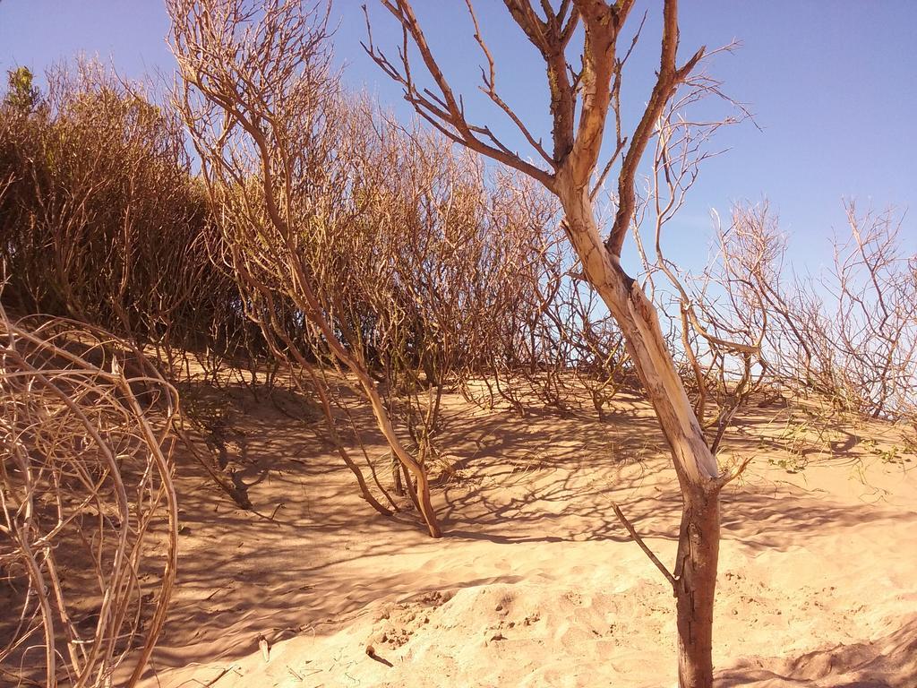 Cabanas Hurra Pampa Mar de Las Pampas Εξωτερικό φωτογραφία